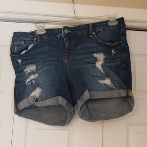 EUC TORRID SHORTS SZ 16